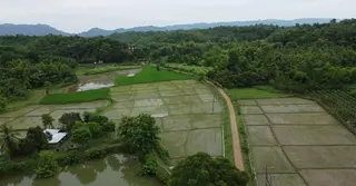 রাঙামাটিতে বিকেএসপির প্রস্তাবিত জমি পরিদর্শন না করেই ফিরে গেছে কমিটি, স্থানীয়দের ক্ষোভ